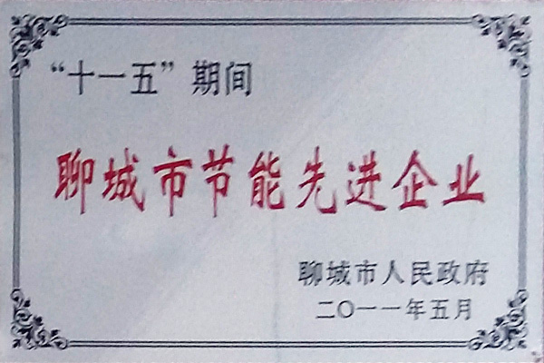 聊城市節(jié)能先進企業(yè)
